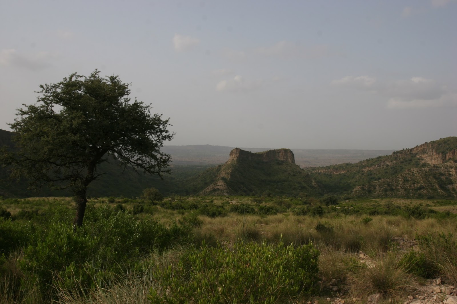 WILDLIFE PHOTOGRAPHY FIELD TRAINING THROUGH WILDLIFE SAFARI IN SALT RANGE, PUNJAB, PAKISTAN